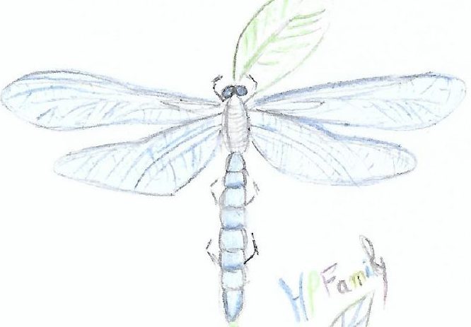 Les enfants voyagent